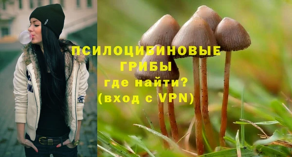 мяу мяу кристалл Козловка
