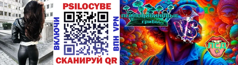 Купить  Очёр  Галлюциногенные грибы GOLDEN TEACHER 